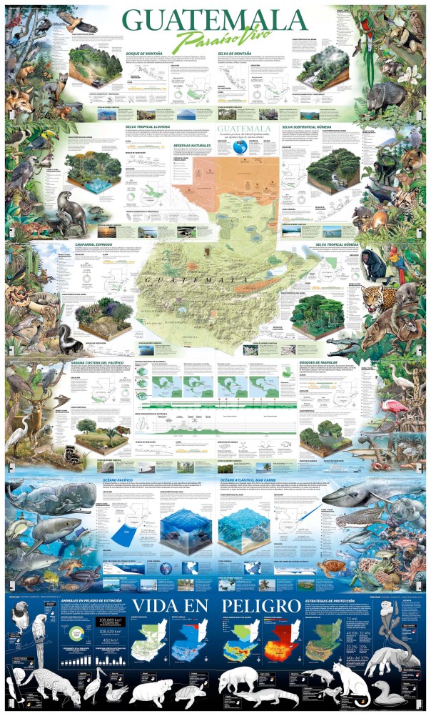 Guatemala: Paraiso vivo