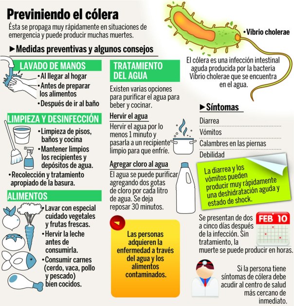 Cómo prevenir el cólera