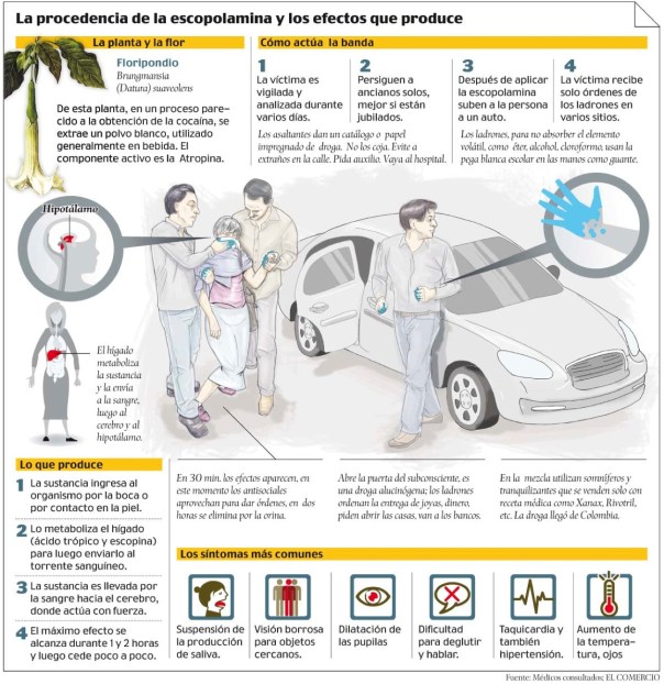 Procedencia y efectos de la escopolamina