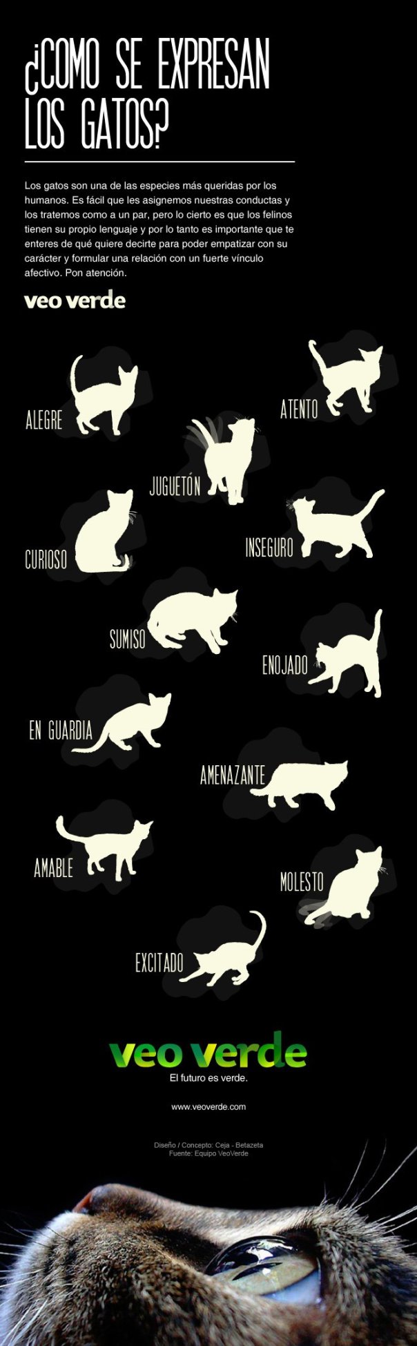Cómo se expresan los gatos