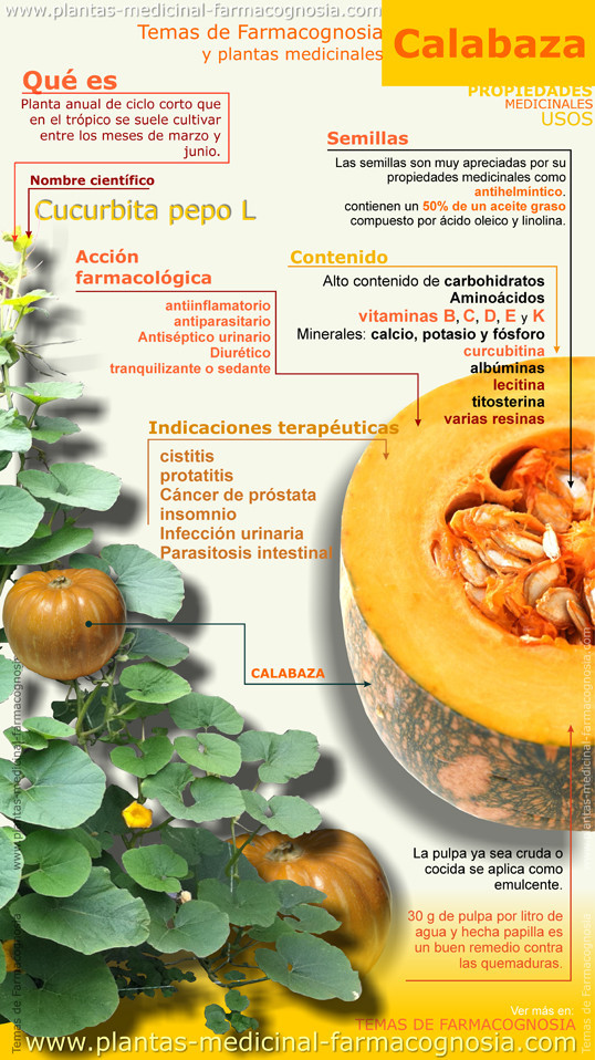 Propiedades de la Calabaza