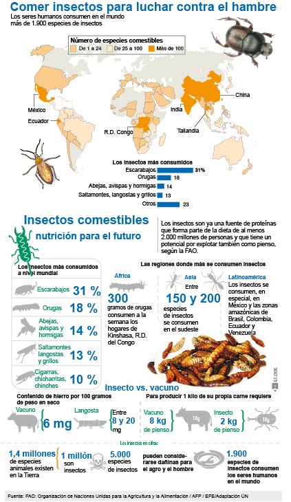 Comer insectos para luchar contra el hambre