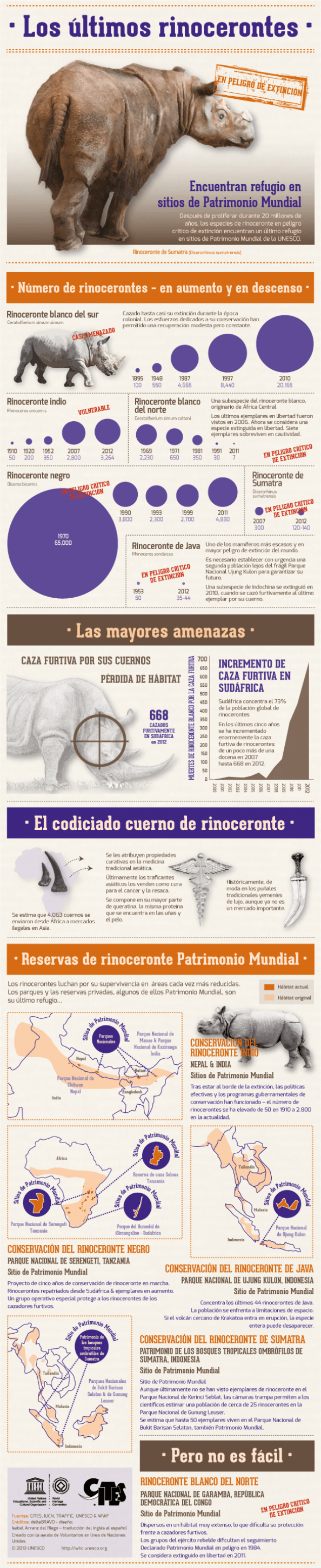 Los últimos rinocerontes