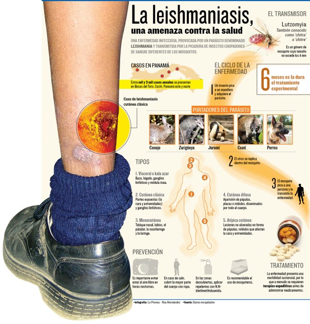 Qué es la Leishmaniasis