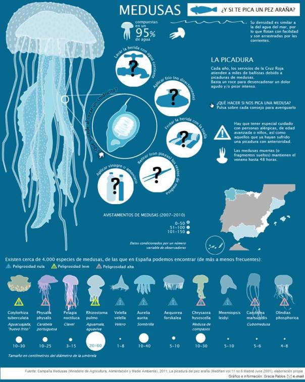 Las picaduras de las Medusas