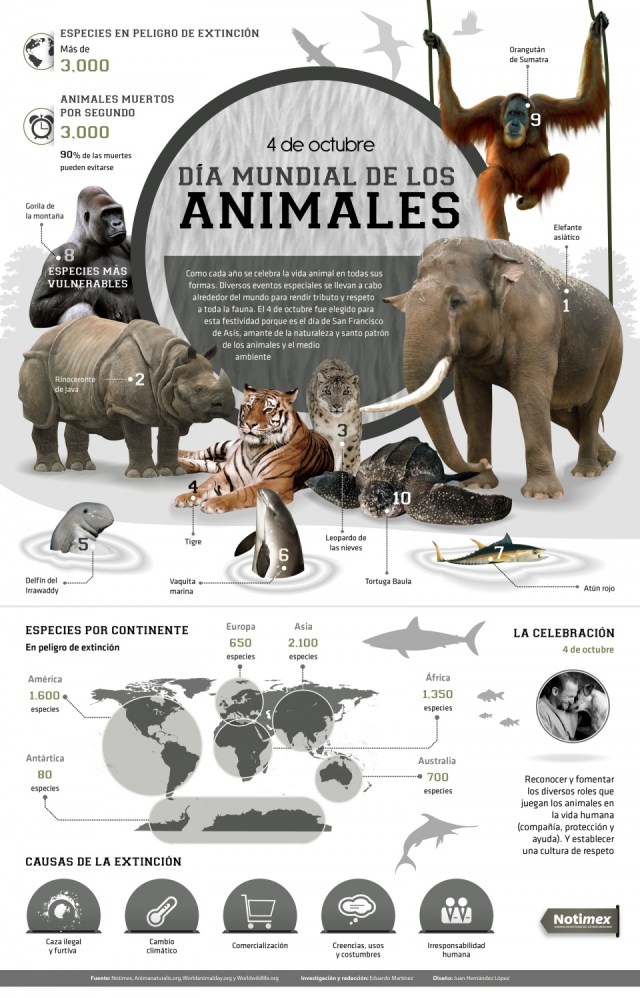 Día Mundial de los animales