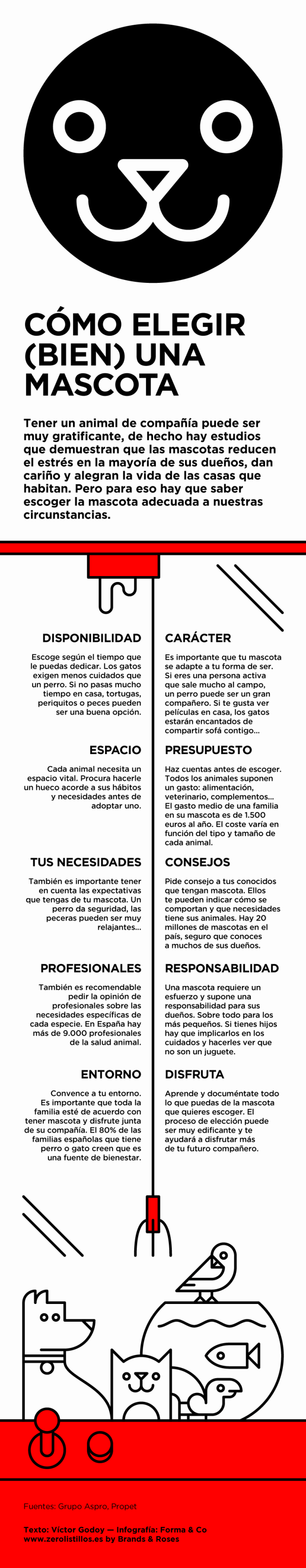 Consejos para elegir mascota