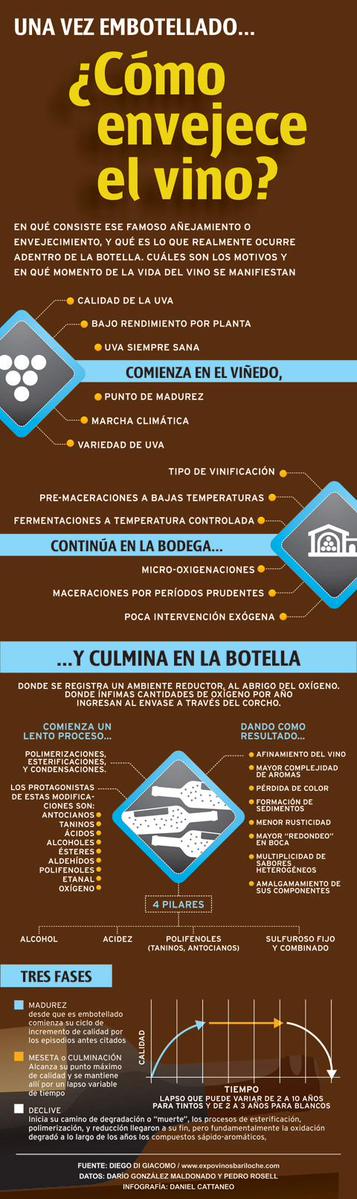 Cómo envejece el vino