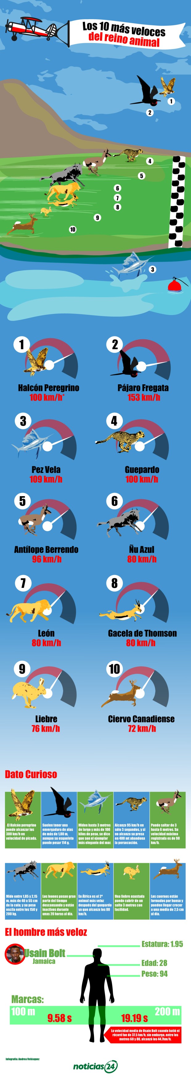 10 especies más rápidas del Reino Animal
