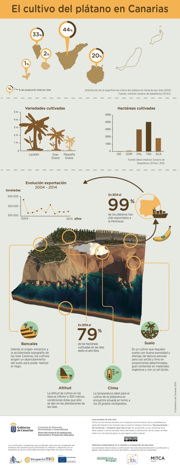 El cultivo del Plátano en Canarias