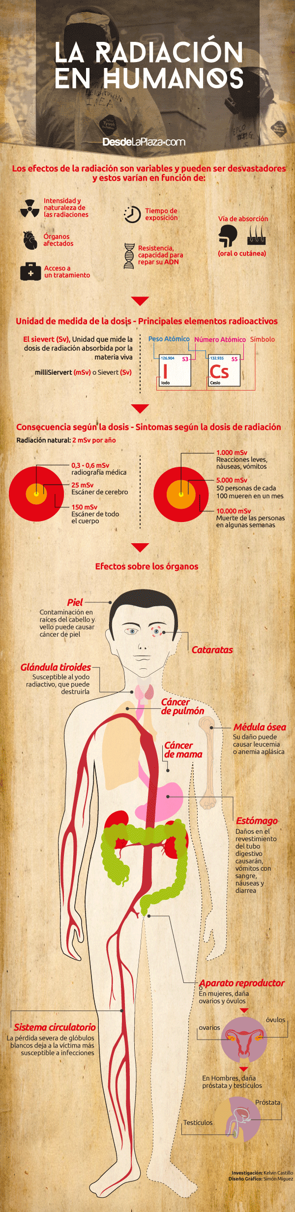 Efectos de la radiación sobre el cuerpo humano