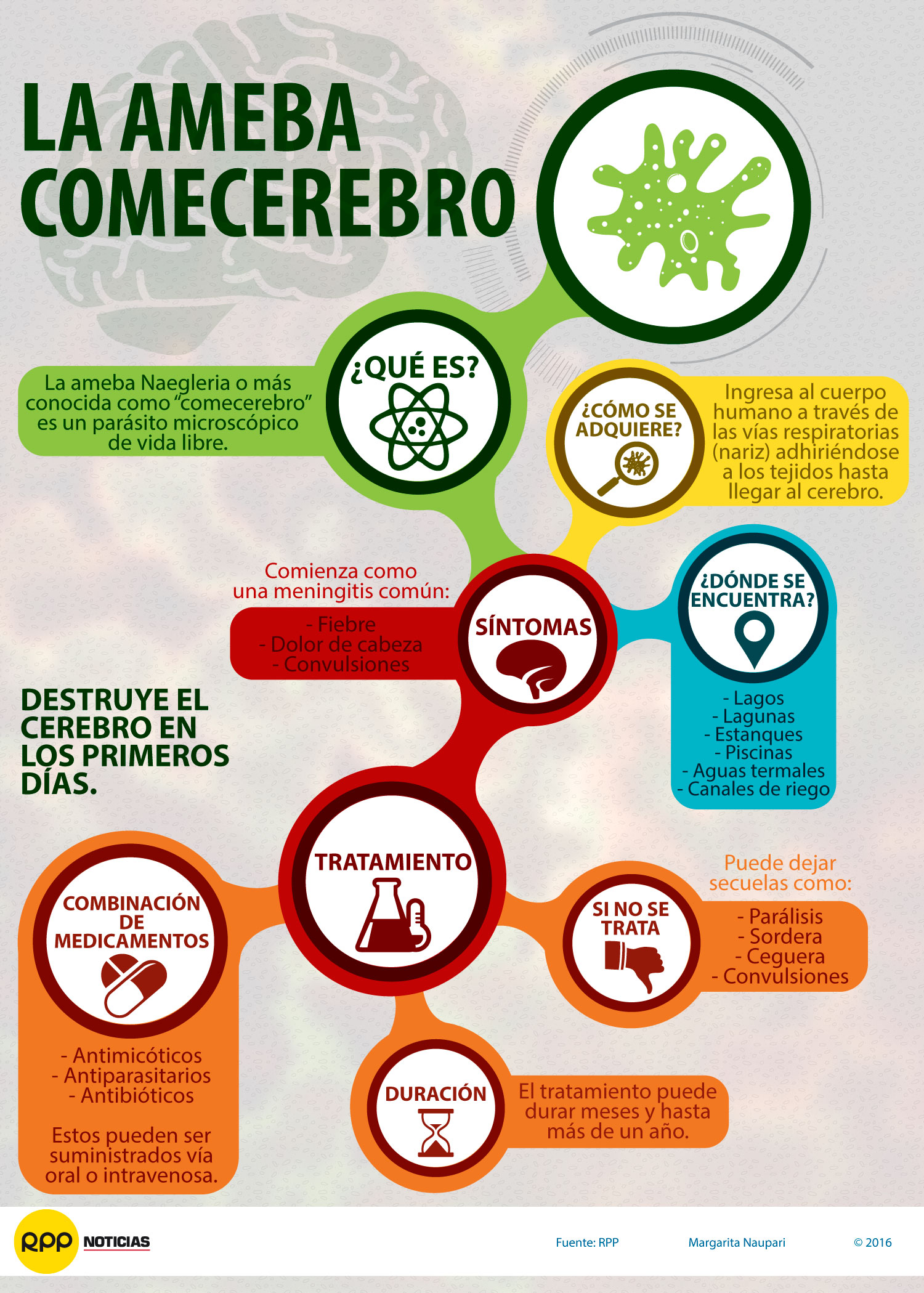 Ameba Comecerebro