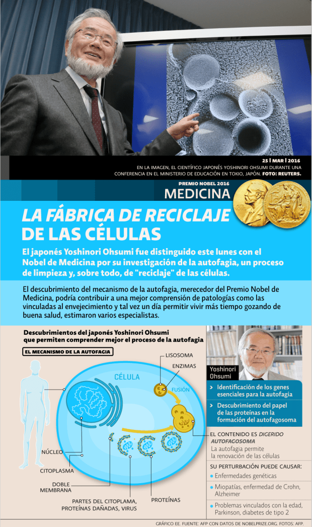 Premio Nobel medicina 2016